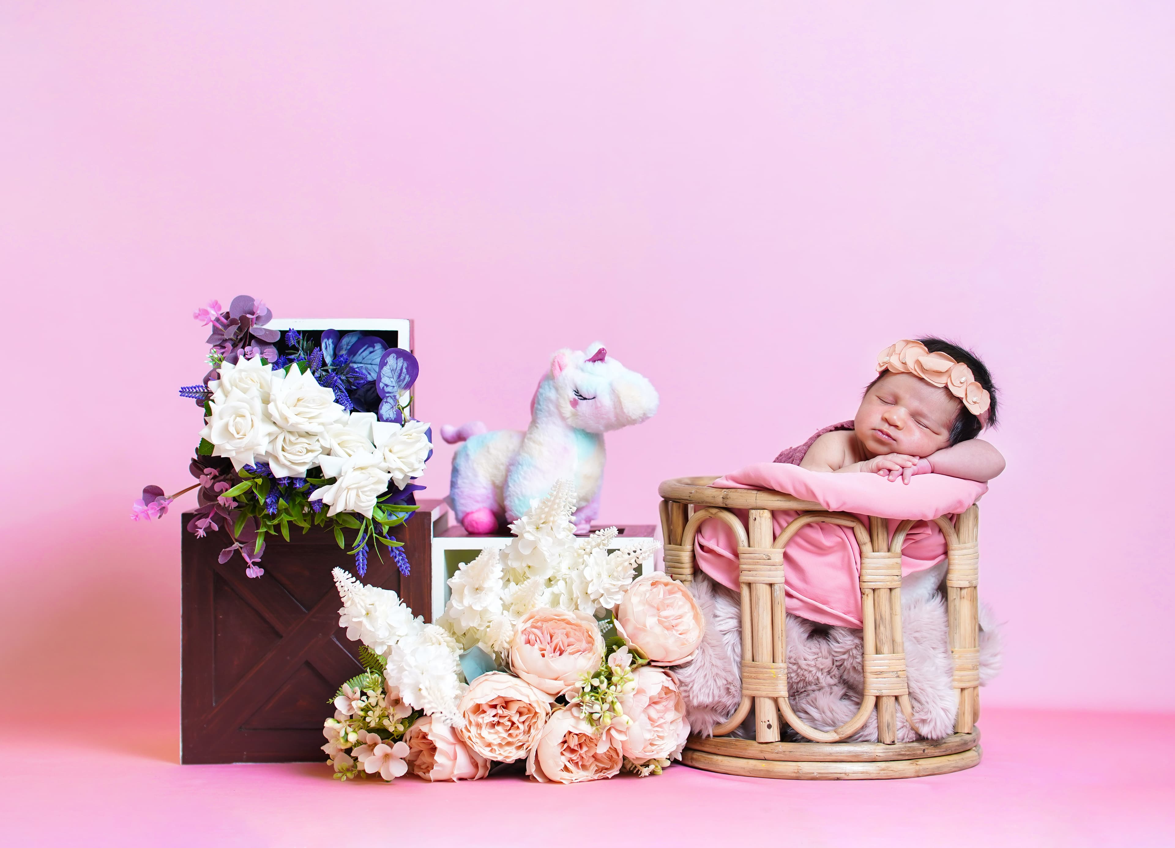 Newborn Photography Slide 1