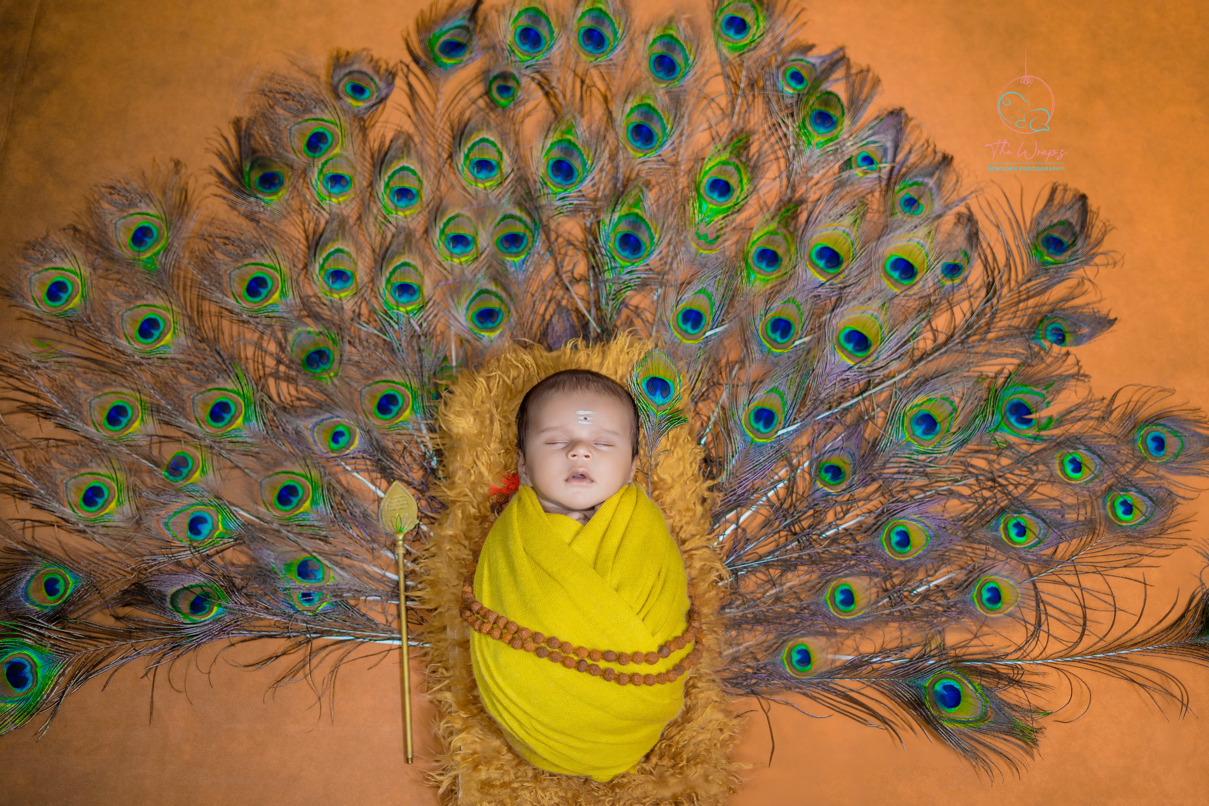 Newborn Photography Wide